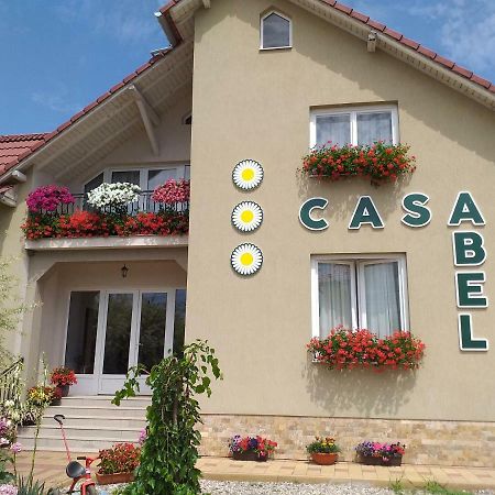 Hotel Pensiunea Abel Mihai Viteazu  Exterior foto