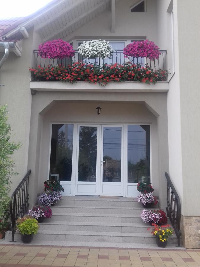 Hotel Pensiunea Abel Mihai Viteazu  Exterior foto