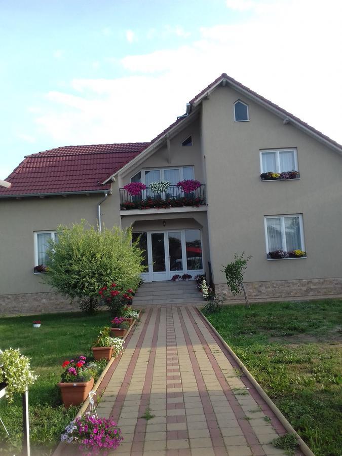 Hotel Pensiunea Abel Mihai Viteazu  Exterior foto