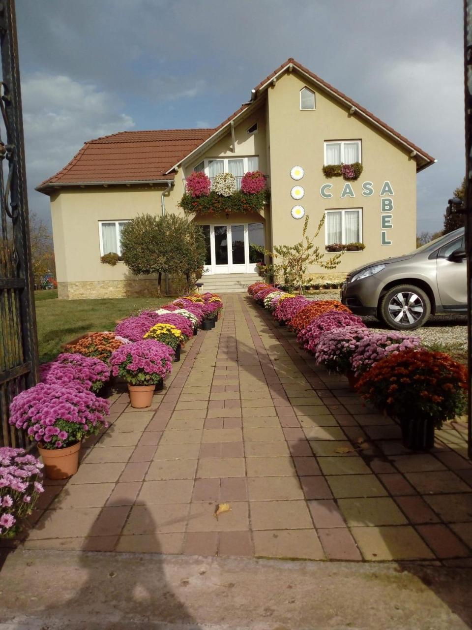 Hotel Pensiunea Abel Mihai Viteazu  Exterior foto