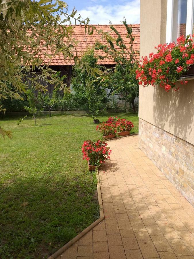 Hotel Pensiunea Abel Mihai Viteazu  Exterior foto